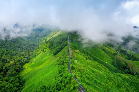 Explore the Top 8 Hill Stations Near Chennai: Nature Getaways & Travel Tips