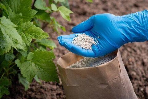 Agricultural Fertilizer Guide: Types, Nutrient Requirements, Application Methods and Crop Benefits