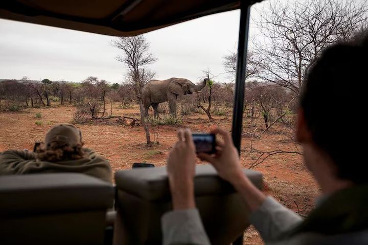 Africa Safari Explanation of Destinations, Wildlife, and Adventure Experiences