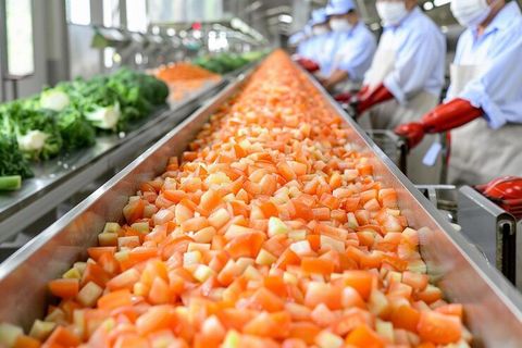 Discover Industrial Vegetable Cutter Machines