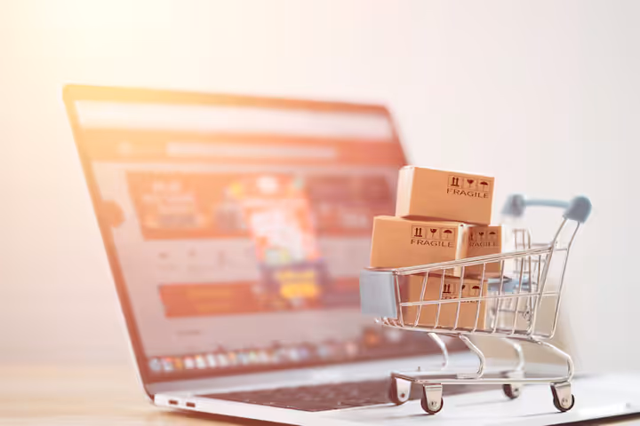 Insights into E-commerce Trends, Security, and Customer Experience