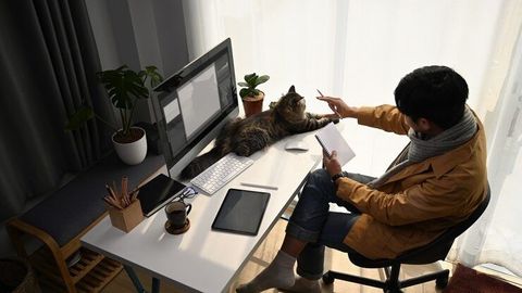 Remote Work and Career Adaptation Explained: Skills, Work Models, Challenges and Career Changes
