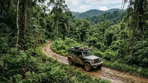 How Safari Tourism Works: A Complete Travel Guide