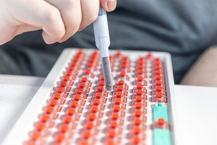 TNF Alpha ELISA Kit: Understanding the Basics of Cytokine Measurement