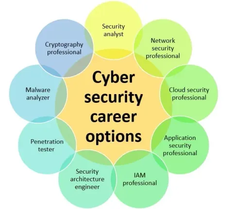 Cyber Careers Guide: Roles, Skills and Career Paths