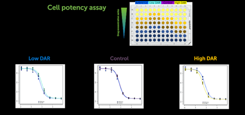 Cell Potency Assays: Methods, Applications, and Benefits