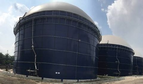 Biogas Digesters Guide: Understanding Renewable Energy Systems and Organic Waste Processing