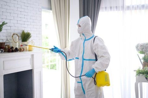 Pest Control Services Overview: Common Pest Problems, Treatment Options, Prevention and Maintenance