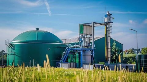 Biofuel Processing Units Guide With Feedstock Preparation, Processing, and Fuel Recovery