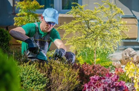Landscaping Service Information With Gardening, Irrigation, and Outdoor Maintenance Tips