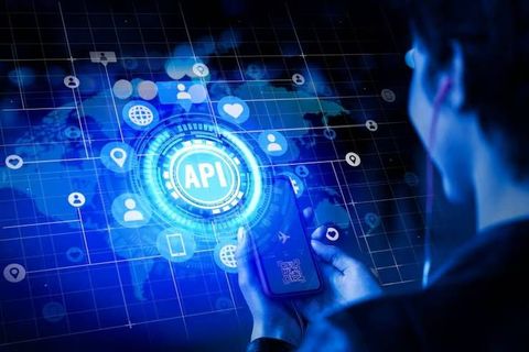 API Security Best Practices: Overview of Security Standards, Authorization, and Risk Management