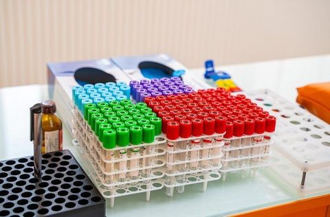 IL-6 ELISA Kits Explained: Immunoassay Technologies, Research Applications and Diagnostic Insights