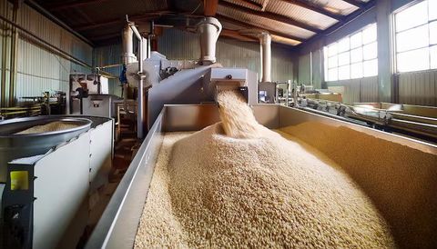 Rice Processing Machinery Explained: 7 Machine Types, Processing Technologies, Manufacturing Equipment and Industrial Applications