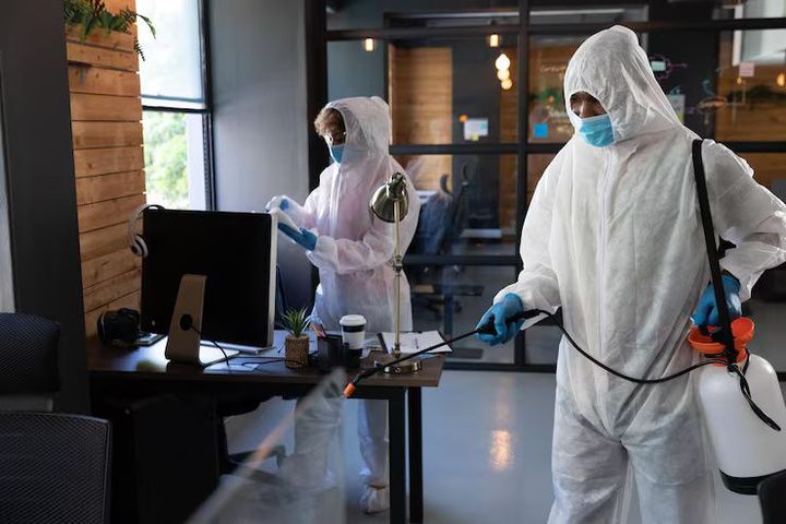 Commercial Pest Control Contract Information for Businesses and Property Managers