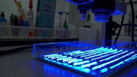 UV Curing System Guide: Types, Working Principles, Components, Applications, and Benefits