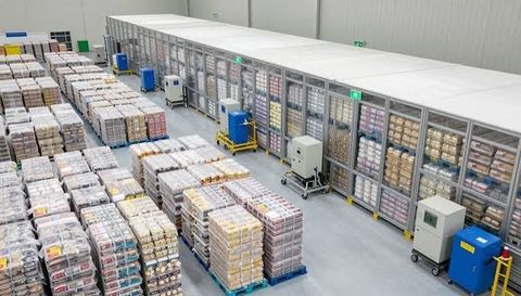 Frozen Food Logistics Guide: Understanding Cold Chain Storage and Transportation
