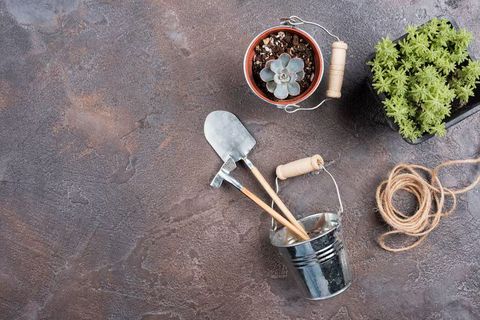 Farming Tools Guide: Types, Uses, Equipment, and Modern Agricultural Practices