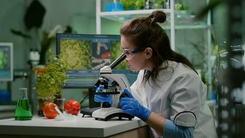 Food Safety Testing: Essential Methods and Modern Practices