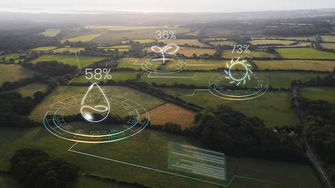 Carbon Emission Sensors Explained: Gas Sensing Technologies, Manufacturing Processes, Global Manufacturers, Suppliers and Industrial Applications