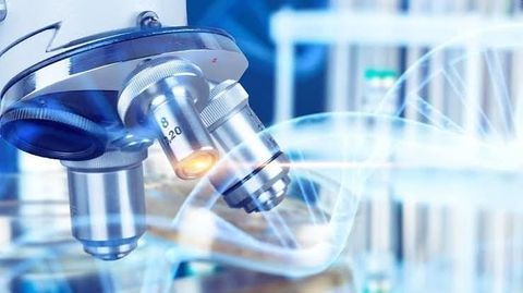 Scientific Imagers: An Overview of Imaging Technologies and Applications