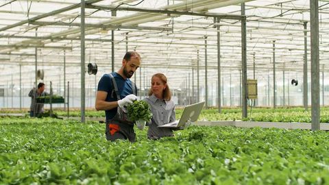 Smart Farming: Discover Innovative Solutions for Sustainable Agriculture