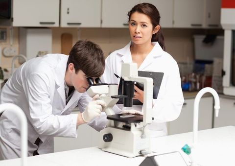 Medical Equipment Guide to Maintenance, Calibration, Safety, and Equipment Management