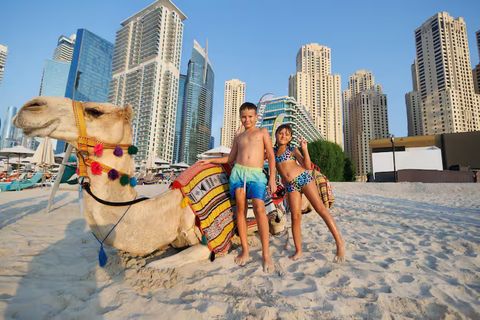 Dubai Travel Packages 2026 Guide With Popular Destinations and Vacation Resources