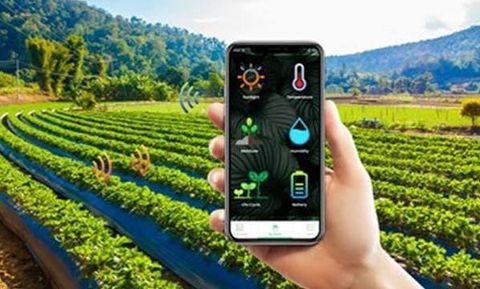Smart Farming Sensors: A Guide to Modern Agricultural Monitoring