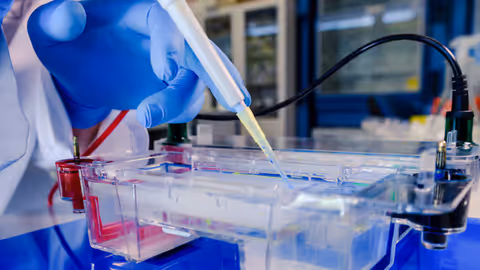 NMR Spectroscopy: Insights Into Magnetic Resonance, Molecular Structure and Spectral Analysis