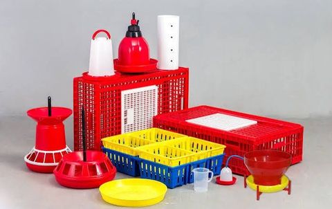 Poultry Equipment Guide: Explore Modern Tools for Efficient Farm Operations