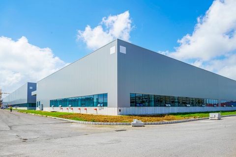 Storage Unit Rental Business: Discover Smart Storage Solutions for Businesses