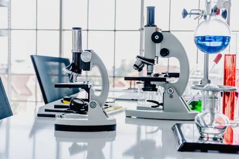 Lab Equipment Guide: Essential Tools, Working Principles, Uses and Maintenance Practices