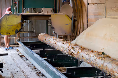 Peeling Machines Guide to Industrial Food Processing Efficiency