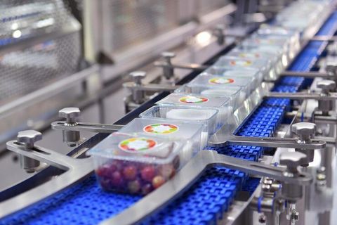 Bottling Line Guide With Packaging Technology And Manufacturing Insights