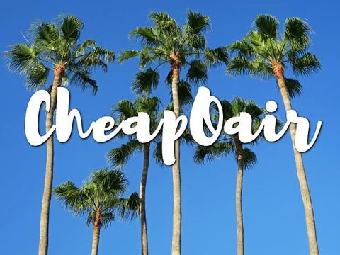 CheapOair Facts: Learn About Flights, Deals & Booking Options