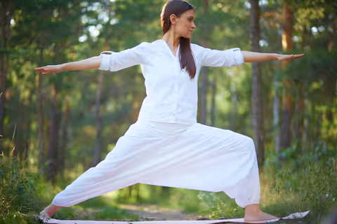 Tai Chi Walking: A Guide to Techniques, Balance and Health Benefits