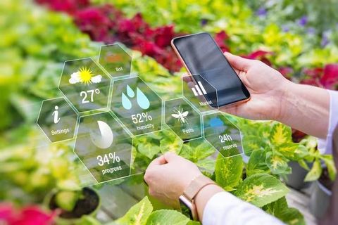 Smart Agriculture Networks Guide With Crop Monitoring and Agricultural Technology
