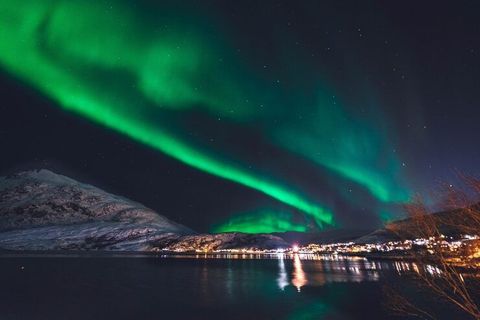 Northern Lights in Norway: Overview of Tromsø, Lofoten Islands, and Arctic Adventures