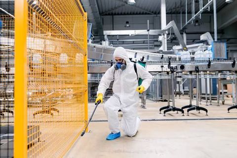 Commercial Pest Control: Discover Effective Ways to Protect Your Business