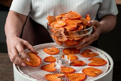 Guide to Food Dehydrator Machine: Working, Types, Benefits and Maintenance Tips
