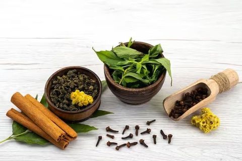 Explore Ayurveda: A Complete Guide to Natural Healing for Body and Mind