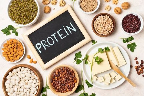Protein Rich Diet Guide: Eat Smarter for Muscle and Recovery