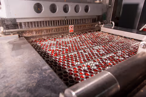 Insights into Masterbatch Machines, Components, and Industry Developments