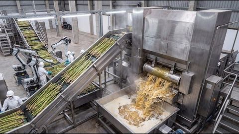 Industrial Sugarcane Crusher Guide to Types, Sugar & jaggery Manufacturing and Industrial Applications