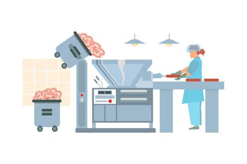 Essential Guide to Modern Meat Processing Equipment