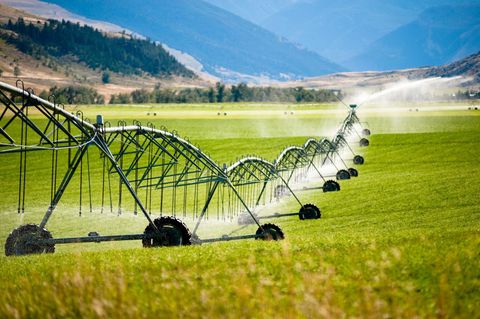 Farm Irrigation Systems Overview: Understanding Types, Components, and Applications
