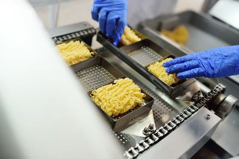 Food Industry Guide to Food Processing, Packaging, and Quality Management