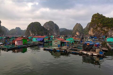 Vietnam Floating Villages Guide: Traditional Homes, Local Communities, Daily Life and Travel Tips