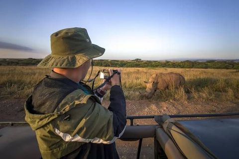 Safari Wildlife Tracking Tips for Identifying Tracks and Exploring Wildlife Habitats